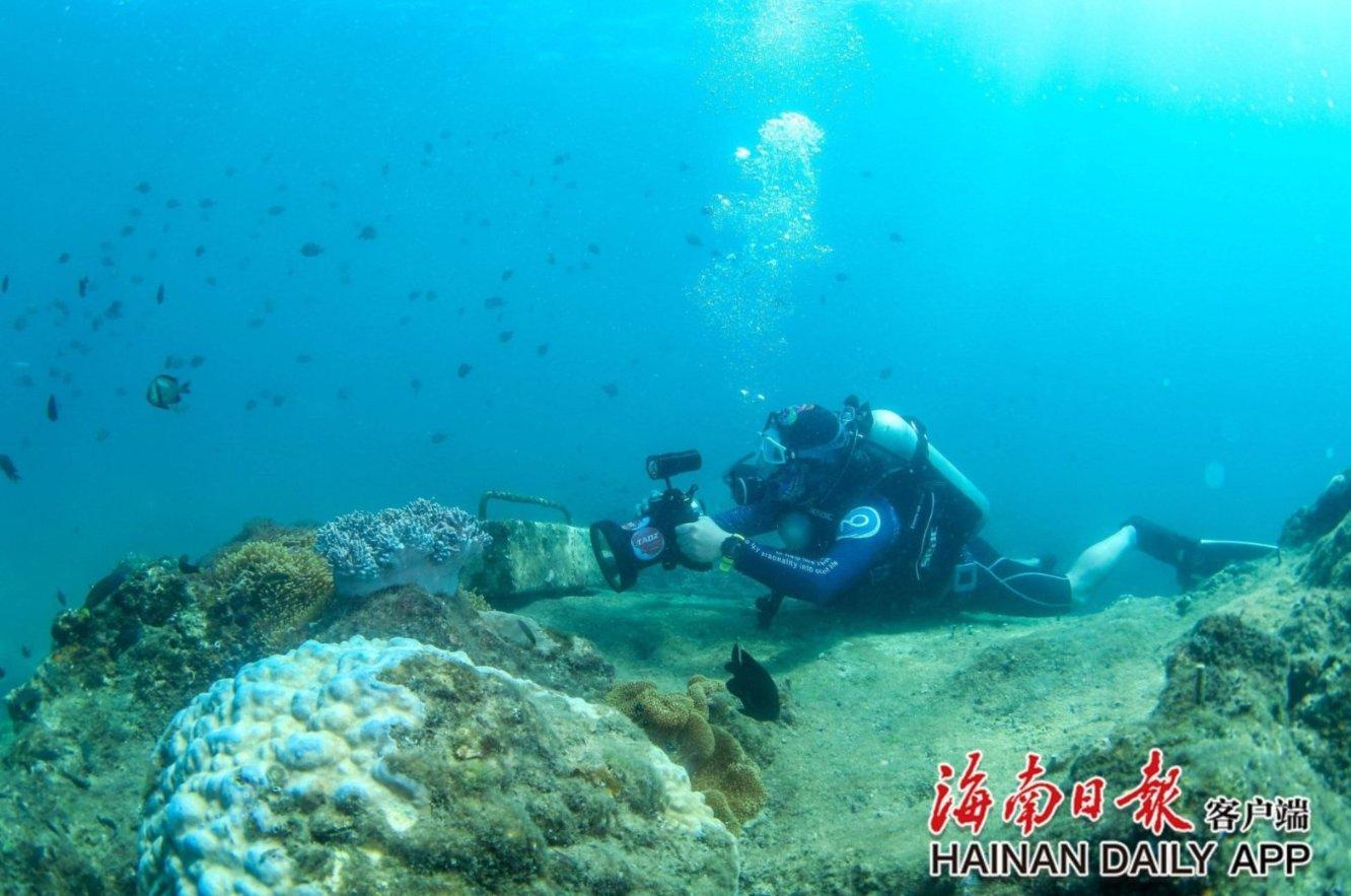 翰墨书写新时代,金鹰展翅浩瀚天